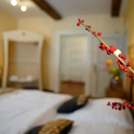 Guest house Sahara *