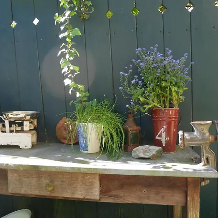 Maison d'hôtes Sahara