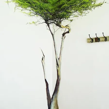 בית הארחה Sahara